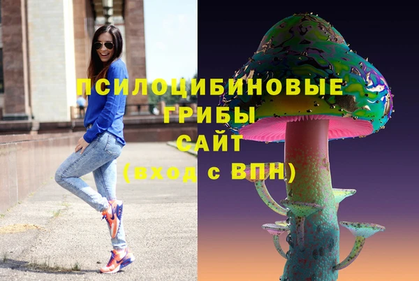альфа пвп Елизово