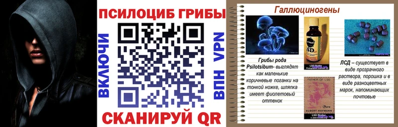 Псилоцибиновые грибы мицелий  Купить закладки  Харовск 